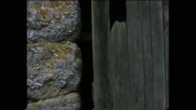 - In folk horror, we're very
much talking about the effect - Woodlands Dark and Days Bewitched: A History of Folk Horror