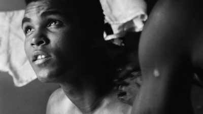 In Gordon Parks's understanding - A Choice of Weapons: Inspired by Gordon Parks