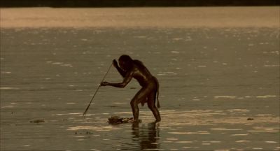 In my history studies I'd chronicled the religious wars that plagued - Robinson Crusoe