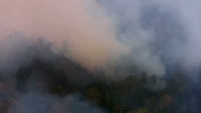 IN INDONESIA, WE'RE SEEING
FIRES BEING INTENTIONALLY - Before the Flood