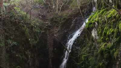In limestone country, - Wild Isles