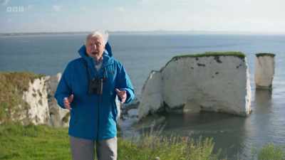 In my long life, - Wild Isles
