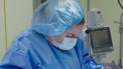In major surgery
situations like this, - Secrets of the Zoo
