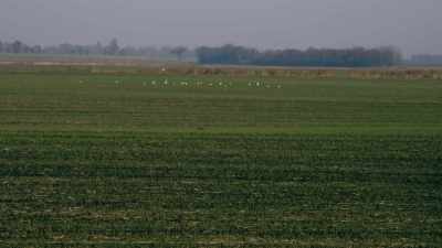 -In March 2013,
a man walking his dog - Britain’s Most Evil Killers