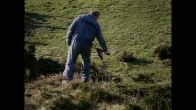 In my mind,
I was trying to think of neighbours - Sophie: A Murder in West Cork