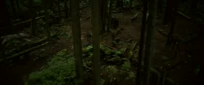 ♪ In my eyes ♪ In my eyes - The Twilight Saga: New Moon