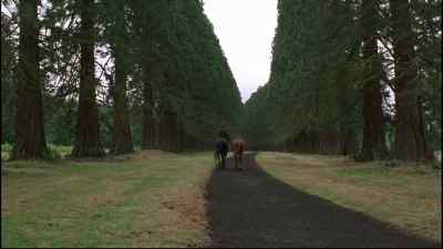 In no time, Ginger and Joe and I... - Black Beauty