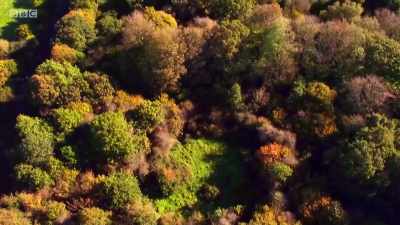 In November,
it's not just the animals - Wales: Land of the Wild