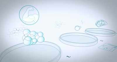 In one dish the
cells form muscle, - Heal