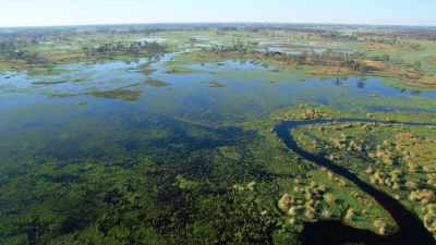 In his ongoing work
to save elephants, - In the Footsteps of Elephant