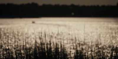 - In my opinion, you couldn't
ask for a better childhood - Low Country: The Murdaugh Dynasty