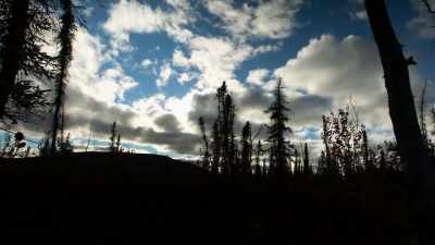 In order to be successful,
I just have to apply my hard - Life Below Zero: Next Generation