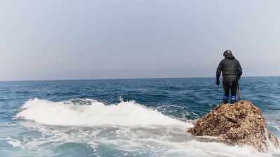 In order to get the
best barnacles. - This Giant Beast That is the Global Economy