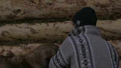 In order to keep
himself and his dog safe, - Life Below Zero: Next Generation