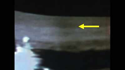 In other words,
it's always moving towards the LEM, - American Moon