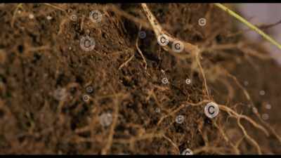 In other words,
soil has the unique ability - Kiss the Ground