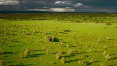 In our world, the difference
between winning and losing - Serengeti