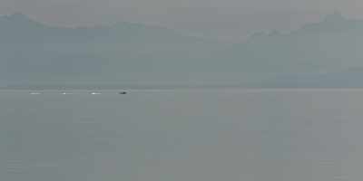 In past seasons,
I've gone weeks without seeing any whales. - Fathom