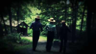 In Plain communities, we teach
that men are almost animalistic - Sins of the Amish