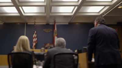 IN PRETRIAL HEARINGS,
BEFORE THE CHARGES WERE DROPPED, - Chandra Levy: An American Murder Mystery