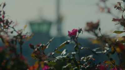 In prison, you spend a lot of time alone. - Untrapped: The Story of Lil Baby