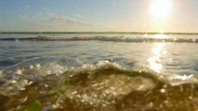 In reaching the ocean, - Wild Babies