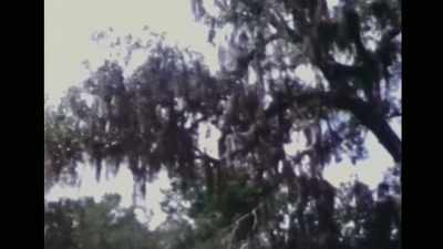 In reality, I was so broken,
all my bones and legs - If I Leave Here Tomorrow: A Film About Lynyrd Skynyrd