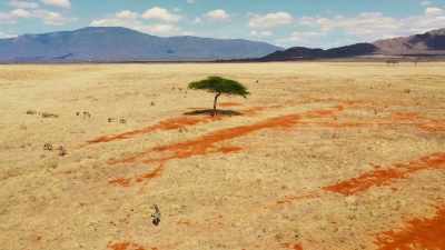 In recent years, Kenya's climate - Our Great National Parks
