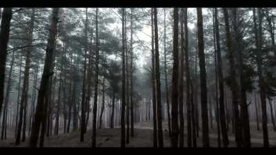 In September 1571, - Age of Samurai: Battle for Japan