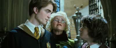 In short, what makes a champion tick? - Harry Potter and the Goblet of Fire