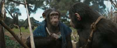 He will be proud. - Kingdom of the Planet of the Apes