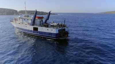 In South Australia's
Neptune Islands, - Shark Attack Files
