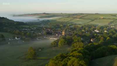 In southern England,
a few precious pockets - Wild Isles