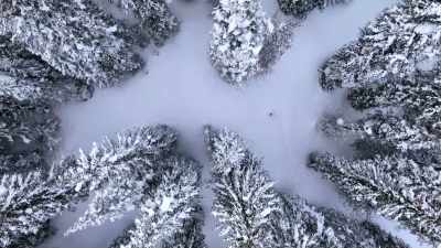 In such extreme locations, - The Secret Lives of Animals