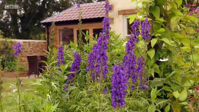 In terms of garden size, - Greatest Escapes to the Country