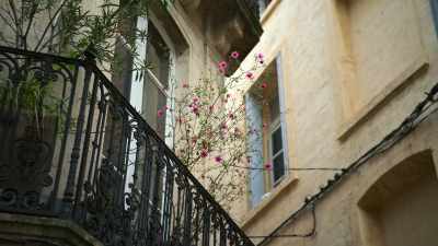 In terms of Montpellier as a place, - Matildas: The World at Our Feet
