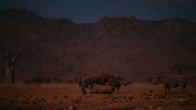 In the 1970s and '80s, - Our Great National Parks