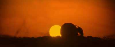 In the battle between
using and acquiring energy… - Our Universe