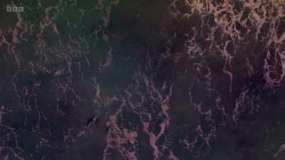In the beginning, there was nothing
but a dark, primordial ocean... - The Art of Japanese Life