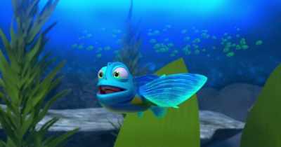 - In the Black Valley.
(sea creatures chattering) - Dolphin Boy