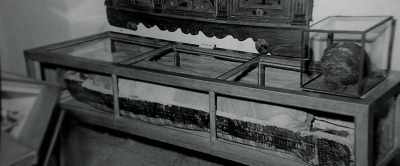 In the cellar, there
was this mummy, - Memory: The Origins of Alien