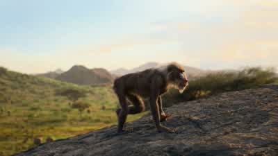 ♪ In the circle ♪ The circle of life - The Lion King