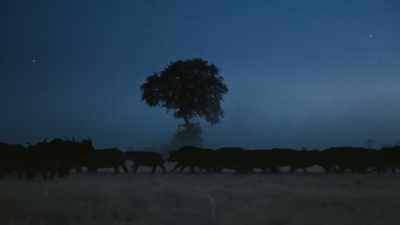 In the cool night, - Super/Natural