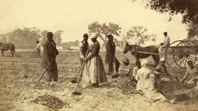 In the current system,
if you're named, - Black Life: Untold Stories