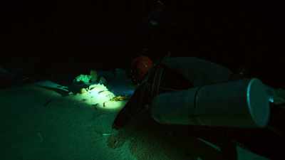 In the dark silence, - Lost Treasures of the Maya
