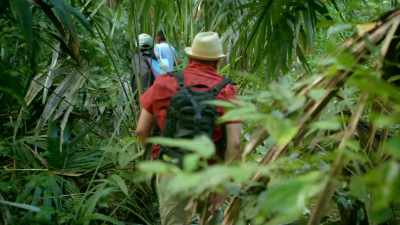 In the dense jungle, it's almost
impossible to get our bearings. - Lost Treasures of the Maya