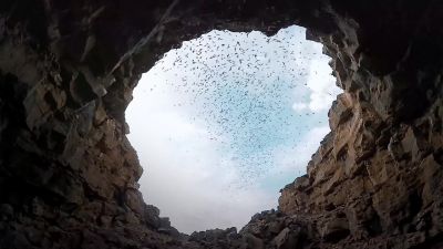 In the desert, timing is everything. - Hostile Planet