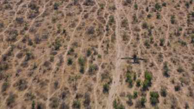 In the dry season, - In the Footsteps of Elephant