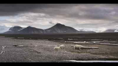 In the face of adversity, - Our Oceans