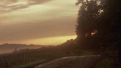 In the film "Cujo"...
adapted from Stephen King's - Eli Roth's History of Horror